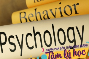 Các trường đại học đào tạo ngành Tâm lý học ở Tp.HCM, tại Hà Nội và các Tỉnh